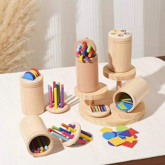 Montessori Wooden Color and Shape Sorter