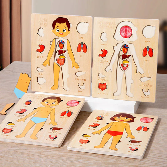 Wooden Human Body Puzzle — Early Education Toys